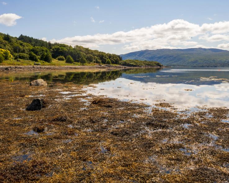Exploring Loch Sunart from Resipole Farm Holiday Park